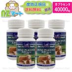 ショッピングブランド品 羊 プラセンタ 40000mg 60カプセル 高濃縮 サプリメント【5個セット】ニュージーランド（NZヘルスフード社）｜産地正規品｜送料込み｜追跡発送｜