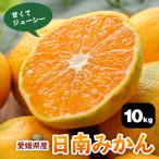 みかん 10kg 送料無料 訳あり 青切り 早生 愛媛みかん 愛媛 県産 ミカン 甘い わけあり 果物 柑橘 温州 日南みかん ご家庭用