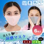 冷感マスク 夏用マスク 涼感マスク 【即納】メッシュ 接触冷感 夏 マスク 涼しい 洗える ひんやり 6枚 大きめ 大人 小さめ 子供