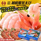 甘エビ 甘えび 特大 子持ち 刺身 1kg 