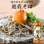 そば 蕎麦 越前そば 3食入り 半生 つゆ付き 福井 お土産 贈答 ギフト