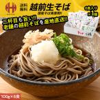 そば 越前そば 生そば 6食入り つゆ付