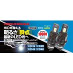 【RG】POWER LED HEAD BULB 純正HID→LED D2Rタイプ 6000K_10000ルーメン