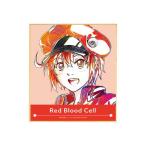 はたらく細胞 Ani-Art 色紙 赤血球【予約 09/中 発売予定】