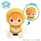 ハイキュー!! おひざの上シリーズ 雨の日ver. 日向翔陽【予約 11/未定 発売予定】