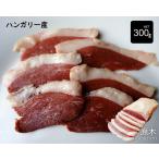 ハンガリー産 マグレカナール 鴨生ハム 原木 300g 業務パック カモ生ハム 合鴨