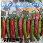  красный острый перец местного производства сырой синий 1kg Корея красный острый перец Корея кулинария кимчи .. тест .. Nagano префектура прямая поставка от производителя бесплатная доставка по всей стране нет пестициды высота . овощи сильно сниженная цена 