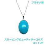 【送料無料】プラチナ製スリーピングビュー産　天然極上ターコイズ大ぶりPH８ｃｔ■3022