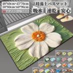 バスマット 珪藻土 ソフト バス マット  やわらか 大判 速乾 吸水 洗える 足拭き お風呂 水切り キッチン 猫 手入れ 収納 浴室 無地 グッズ