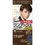 サロンドプロ 白髪染め ワンプッシュ メンズカラー 6 ダークブラウン 医薬部外品