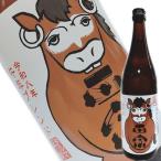 .. правильный . долгое время .. старый sake . мир 8 год . год Blend 720ml (daruma правильный .)