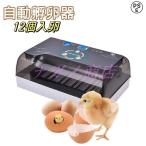 自動孵卵器 インキュベーター 鳥類専用ふ卵器 鶏 にわとり ウズラ あひる 鴨 自動転卵 孵化器 入卵 ヒヨコ生まれ 大容量 自動温度制御 照卵器付き 湿度保持