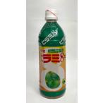 JAおきなわ 　ヒラミ8(�