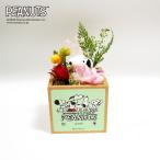  Snoopy little сад 75th день рождения ..., праздник. sa приз подарок .