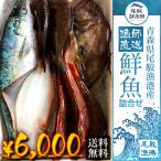 朝獲れ 鮮魚 セット 青森 尾駮漁港 6000円 贈り物 お歳暮 魚詰合せ 送料無料