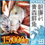 朝獲れ 鮮魚 セット 青森 尾駮漁港 15000円 贈り物 お歳暮 魚詰合せ