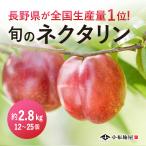 〈申込期間:8/1まで〉旬のネクタリン 約2.8kg /冷蔵便 送料無料 長野 産地直送 桃 フルーツ 果物 信州 小布施 数量限定