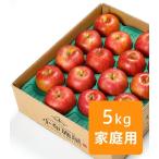 発送中 スマートフレッシュりんご シナノスイート ご家庭用 約5kg /常温便 送料無料 長野 産地直送 フルーツ 果物 訳あり 長野 信州