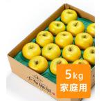 〜果汁がジューシーな金色のりんご〜　りんご シナノゴールド ご家庭用 約5kg /（10〜20玉）常温便 送料無料 長野 産地直送 フルーツ 果物 訳あり 信州 数量限定 産直