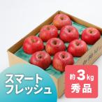 発送中 スマートフレッシュりんご サンふじ 秀品 約3kg /常温便 送料無料 長野 産地直送 果物 フルーツ 贈答 ギフト 信州 数量限定