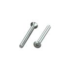 在庫有り POSH Faith ポッシュ フェイス バーエンド補修パーツ 丸皿（+）小ネジ M5x50mm（2本入り） ステンレス 031071-70