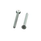 在庫有り POSH Faith ポッシュ フェイス バーエンド補修パーツ 丸皿（+）小ネジ M5X55mm（2本入り） ステンレス 031075-70