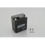 ハイパフォーマンスバッテリー (DYTX