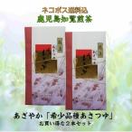 お茶 茶 緑茶 送料無料 お茶のぶどう園 あざやか 100ｇ × 2本 セット 日本茶 ちらん茶 知覧茶 希少品種 あさつゆ 煎茶 茶葉 天然玉露 贈り物 ギフト 歳暮