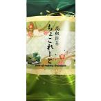 ショッピング抹茶 高級抹茶コレート＜個包装８枚入り＞/抹茶/チョコレート/ギフト/スイーツ/手土産/ネコポス発送可/