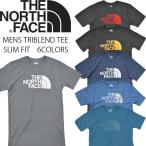  North Face футболка THE NORTH FACE половина купол Logo мужской Try Blend короткий рукав тонкий Fit US план 