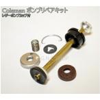 Coleman-コールマンランタン・ストーブ用 ポンププランジャー 革カップ付(220A6201,242J5201) 一式セット