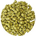 Yahoo! Yahoo!ショッピング(ヤフー ショッピング)【CRAFT BEER】ハラタウ マグナム　Hallertauer Magnum 100g　ホップペレット HOPS クラフトビール用　人気商品 在庫僅か入荷