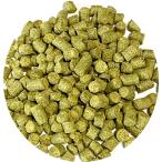 【CRAFT BEER】ハラタウ マグナム　Hallertauer Magnum 100g　ホップペレット HOPS クラフトビール用　人気商品 在庫僅か入荷