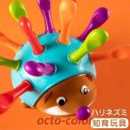 Yahoo! Yahoo!ショッピング(ヤフー ショッピング)赤ちゃん おもちゃ ラーニングリソーシズ 指先知育 ハリネズミ 知育玩具 数字 色 子供 キッズ 子ども 幼児 知育 オモチャ 玩具 幼稚園 教具 入園祝