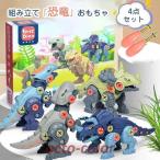 おもちゃ　ネジ　組み立て　玩具4点セット　キッズ　子供　キッズ　ギフト　恐竜おもちゃ　恐竜　フィギュア　DINOSAUR MODEL　ダイナソーモデル　