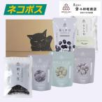  черная соя Tanba ODAGAKI весна лето пробный комплект бесплатная доставка кошка pohs включение в покупку не возможно маленький рисовое поле . магазин официальный почтовый заказ 