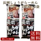 インスタント お取り寄せ 生姜ラーメン 袋麺 お試し paypay消化　長岡しょうがらーめん 2食入×2袋 メール便 新潟ラーメン 醤油 乾麺 送料無料 ポイント消化