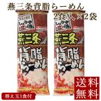 インスタント お取り寄せ 背脂らーめん 袋麺 お試し　燕三条背脂らーめん 2食入×2袋 メール便 新潟ラーメン 乾麺 送料無料 ポイント消化