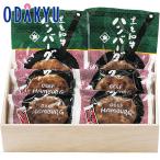 ショッピングハンバーグ 【公式】小田急百貨店 ［ 浅草今半 ］ 黒毛和牛ハンバーグ 御歳暮 歳暮 冬ギフト 冬の贈り物 2025 ｜お届け希望期間指定※沖縄・離島届不可