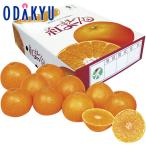 公式 小田急百貨店 愛媛県産 紅まどんな KEB-70 御歳暮 歳暮 冬ギフト 冬の贈り物 2025 ｜12/10以降届（お届け希望期間指定）※沖縄・離島届不可