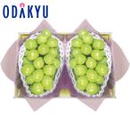 [ официальный ] маленький рисовое поле внезапный смешанный ассортимент администратор . префектура производство автомобиль in мускат . лет . лет . зима подарок зимний подарок 2025 l доставка желающий период указание * Okinawa * отдаленный остров . не возможно 