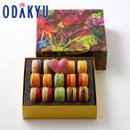 ホワイトデー 2026 ピエール・エルメ・パリ マカロン 15個詰合わせ ｜指定日届※沖縄・離島へは届不可(WD)