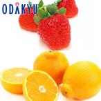 ショッピングデコポン いちご 送料無料 熊本県産 ひのしずく & デコポン 旬果フルーツセットA 約1.2kg ｜7-12日程度でのお届け※沖縄・離島へは届不可(直)