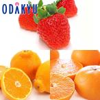 ショッピングデコポン いちご 送料無料 ひのしずくとせとか & デコポン 旬果フルーツセットD 約1.2kg ｜7-12日程度でのお届け※沖縄・離島へは届不可(直)