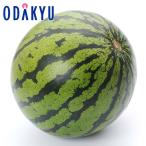  запад . бесплатная доставка Kumamoto префектура производство теплица ...1 шар .. примерно 2kg l2 месяц средний . после. доставка * Okinawa * отдаленный остров .. . не возможно ( прямой )