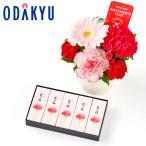 母の日 花 2026 生花A &am