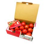 トマト 送料無料 お買い得♪ 夏トクトマト! アメーラトマト |6月下旬以降のお届け※沖縄・離島へは届不可(直)