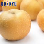 梨 送料無料 豊水三昧 秀品 |9月1日以降に順次お届け※沖縄・離島へは届不可(直)