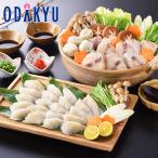  зима подарок бесплатная доставка [ Shimonoseki звук ].... кастрюля *... кастрюля комплект l указанный день .* Okinawa * отдаленный остров .. . не возможно ( прямой )