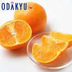 冬 ギフト 送料無料 愛媛県産 紅まどんな ｜12月上旬〜12月下旬の間に順次お届け※沖縄・離島へは届不可(直)